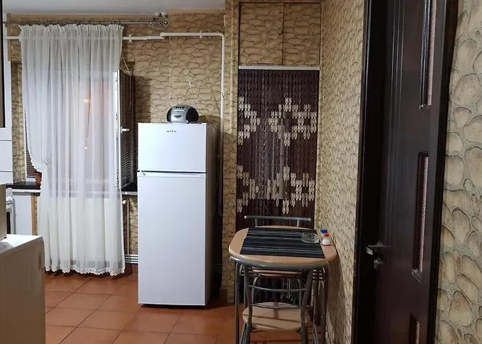 דירה Garsoniera Utilata George Enescu קריובה